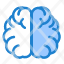 brain-education-hemisphere-knowledge-icon