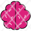 brain-mind-idea-intelligence-thinking-head-icon