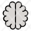 brain-mind-neuron-medical-intelligence-healthcare-icon