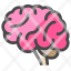 brain-organ-mind-genius-intelligence-icon