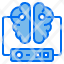 brain-server-data-icon