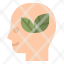 brain-thought-leaf-head-nature-icon