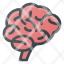 brainthink-organ-icon