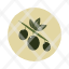 branch-eco-leaf-nature-olive-plant-icon