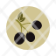 branch-eco-leaf-nature-olive-plant-icon