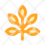 branch-floral-flower-garden-leaves-icon