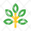 branch-floral-flower-garden-leaves-icon
