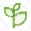 branch-leaves-botany-plant-leaf-ecology-herb-icon