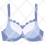 bras-underwear-female-dress-fashion-beauty-icon