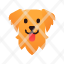 breed-canine-dog-golden-pedigree-pet-icon