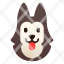 breed-dog-pedigree-pet-siberian-siberian-husky-icon