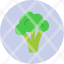 broccoli-cooking-food-healthy-restaurant-vegetable-vegetalian-icon