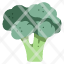 broccoli-food-vegetable-agriculture-fresh-healthy-icon