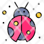 bug-garden-insect-ladybird-ladybug-icon