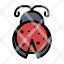 bug-insect-ladybug-spring-icon