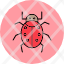 bug-scary-animal-halloween-nature-icon