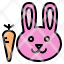 bunny-rabbit-carrot-animal-face-icon