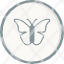 butterfly-insect-larva-spring-icon