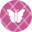 butterfly-insect-larva-spring-icon