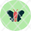 butterfly-insect-spring-animal-gardening-icon