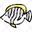butterflyfish-icon