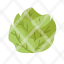 cabbage-food-vegetable-leaf-salad-icon