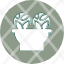 cabbage-water-light-plant-icon