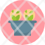cabbage-water-plant-light-icon