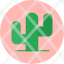 cactus-cactusplant-cacti-green-nature-icon-icon
