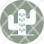 cactus-cactusplant-cacti-green-nature-icon-icon