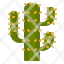 cactus-desert-hot-wild-west-nature-botany-spike-plant-icon