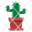 cactus-desert-plant-botanical-office-icon