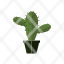 cactus-design-green-land-nature-plant-icon