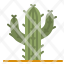 cactus-dry-botanical-desert-plant-icon