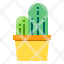 cactus-icon