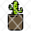 cactus-icon-stay-a-home-icon