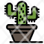 cactus-nature-plant-icon