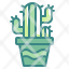 cactus-plant-dessrt-nature-spring-season-icon