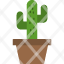 cactus-plant-nature-pot-desert-icon