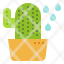 cactus-succulent-gardening-watering-plant-icon