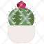 cactusnature-botanical-farming-gardening-garden-dessert-dry-plant-icon