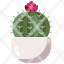 cactusnature-botanical-farming-gardening-garden-dessert-dry-plant-icon