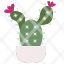 cactusnature-farming-gardening-botanical-garden-dessert-dry-plant-icon