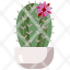 cactusnature-plant-farming-gardening-botanical-garden-dessert-dry-icon
