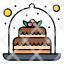cake-gift-present-surprise-icon