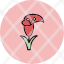 calla-lily-blossom-fragrant-flora-icon