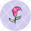 calla-lily-blossom-fragrant-flora-spring-icon