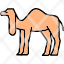 camal-animal-camel-forest-mammal-zoo-icon