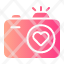 camera-photo-picture-photograph-birthday-party-digital-interface-technology-icon