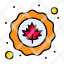 canada-circle-flag-leaf-icon
